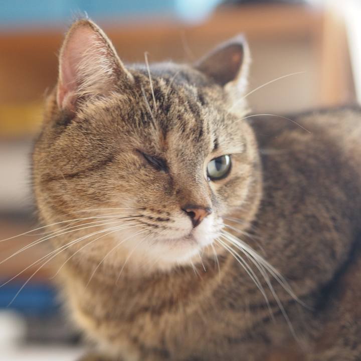 60c55da6 dbd7 4f3f 8552 55e7db906b98 1569207301543