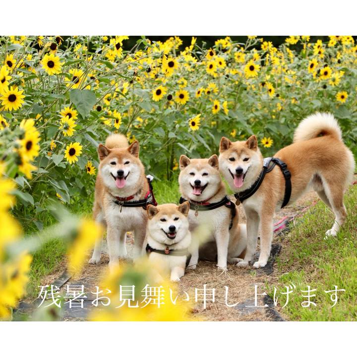60c55e70 9aea 45c5 bbf7 f7fb5473171d 1786679138664