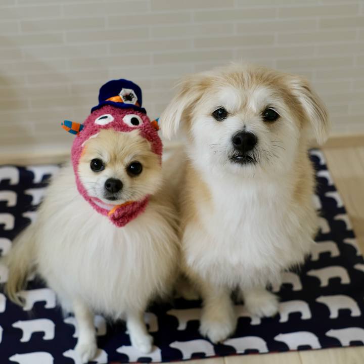 60c56ce1 1f14 48e4 8386 117cbfd7f4f9 1761601170142