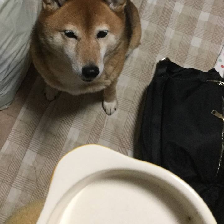 60c582ca 3f9b 4221 9a79 105b21154709 1580891324605