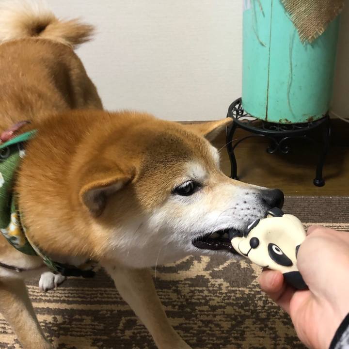 60c5a200 efd8 4a39 81a2 64f7e10dfe87 1552911040112