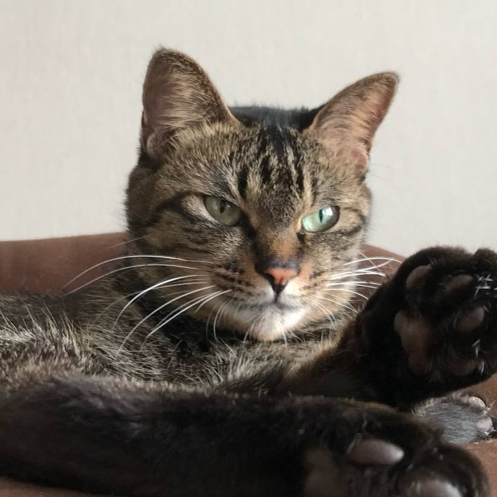 60c5a52b 70fa 4b2c 8de7 5bebd4c9601e 1769764583166