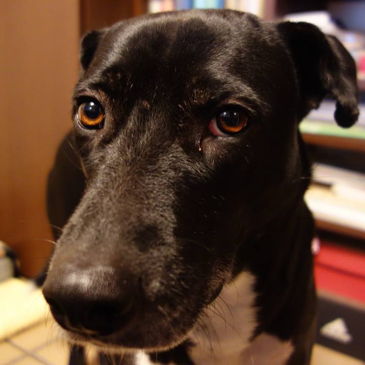 60c5bea0 df9c 4778 bf62 bf99d47db228 1643245758229