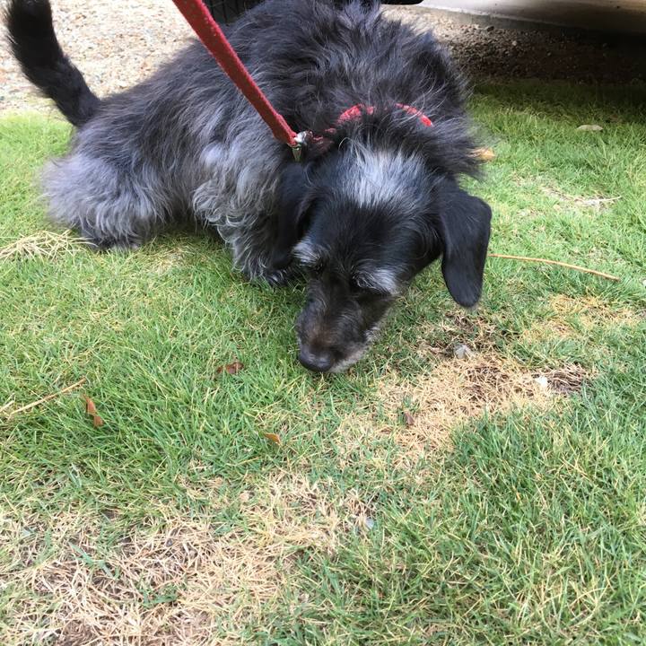 60c5f72c ce59 42b7 990b 6f92cfaf2207 1533335833315