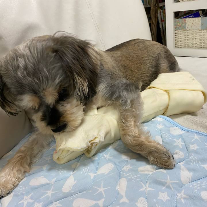 60c60cba 2fa2 43a0 b954 19e953f65094 1633502586058