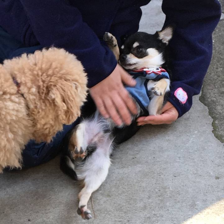 60c629eb 4fef 4713 8c10 08a0fc6081b1 1517568577960