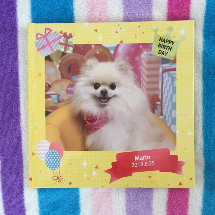 60c64f58 9f73 4477 89d3 21e4f60c6cd7 1536805652787