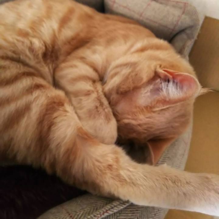 60c6d2ab 9737 471e 94b3 9695f788a2e6 1555757525360