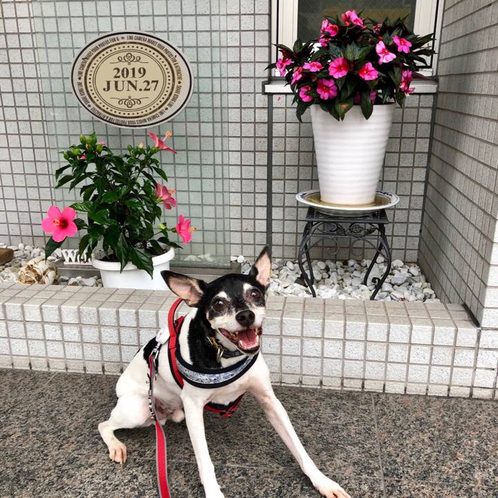 60c6e54e 6f25 4101 b7b2 ed04217a165b 1561590672630