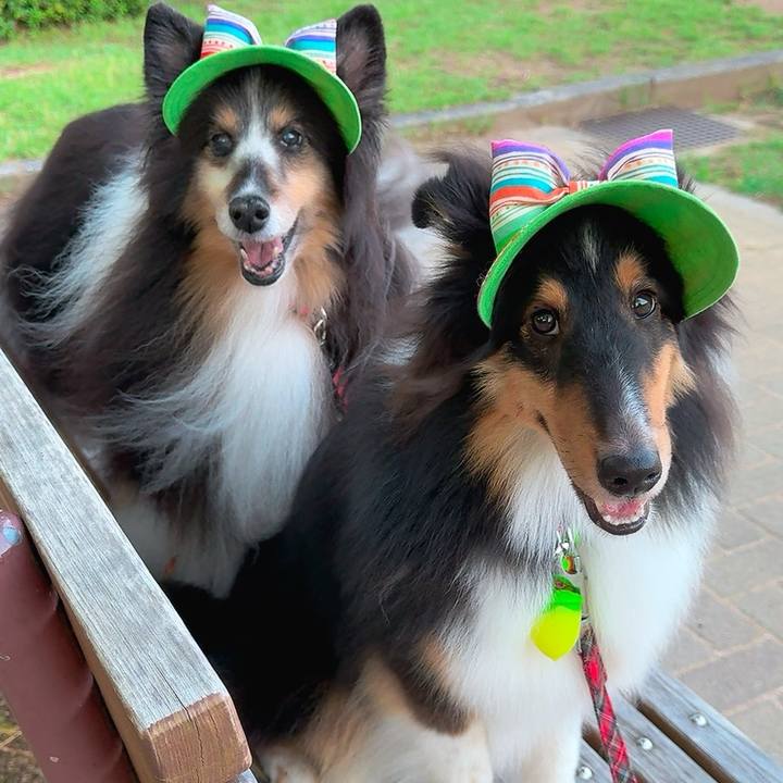 60c6f110 6f34 4f76 a1f8 7d28276c9bb8 1752590873629