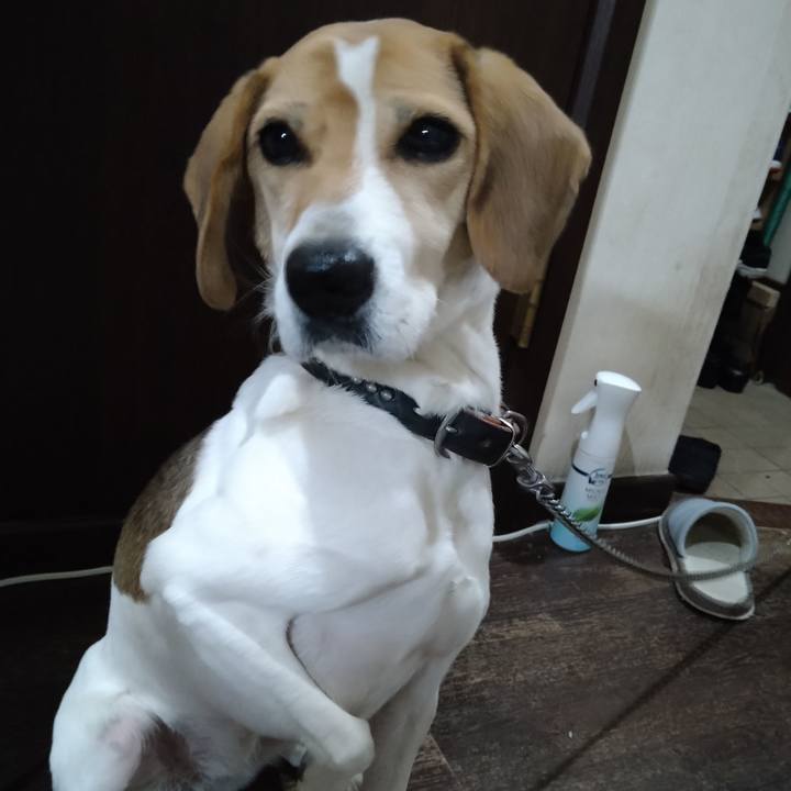 60c6f144 a403 4e12 b473 13fce9896326 1640606045784