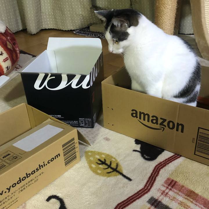 60c731b4 d03f 475e b921 c46860909d12 1703678046733