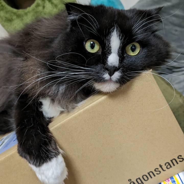 60c76cb8 aa1c 41c5 9539 79428bcae364 1701950556542