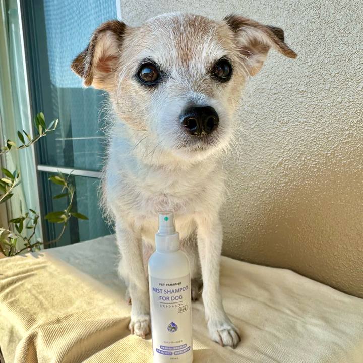 60c76d7b b275 4ef3 8d95 ee389eae1d05 1707883214388