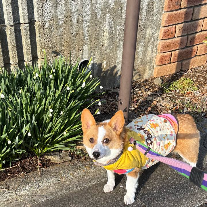 60c7c821 ca41 4e26 a4ce f7e84e75ab64 1773125968207