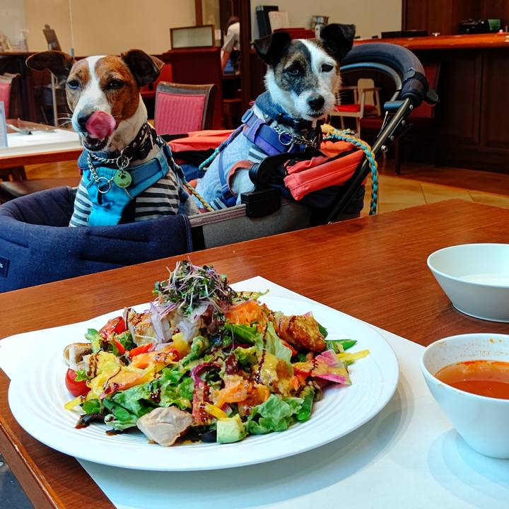 60c7ff03 db2a 4bf2 92dc 2e284eb8d306 1683102670246