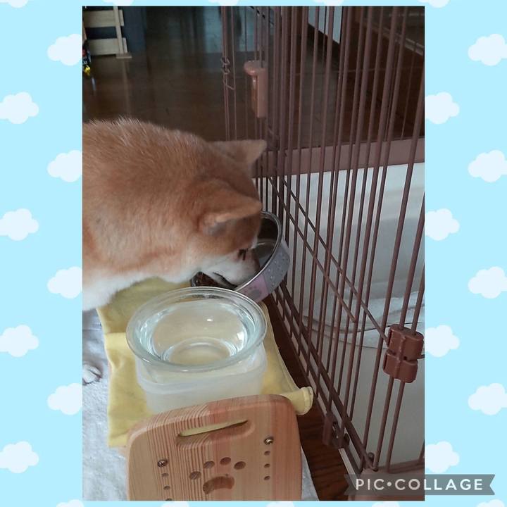 60c80059 a6a3 40f9 94a9 91ca7380e22e 1756335013813