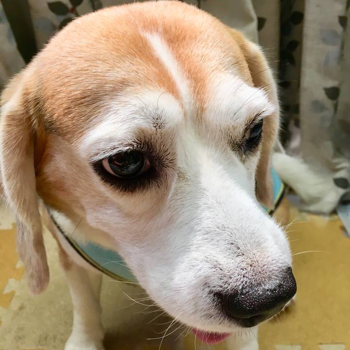 60c8401a 8876 4713 b065 3e32602dad4d 1535340596291