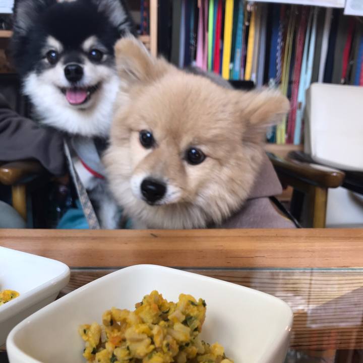 60c86c31 5025 4819 ae2c 26b763dbd228 1610268129671