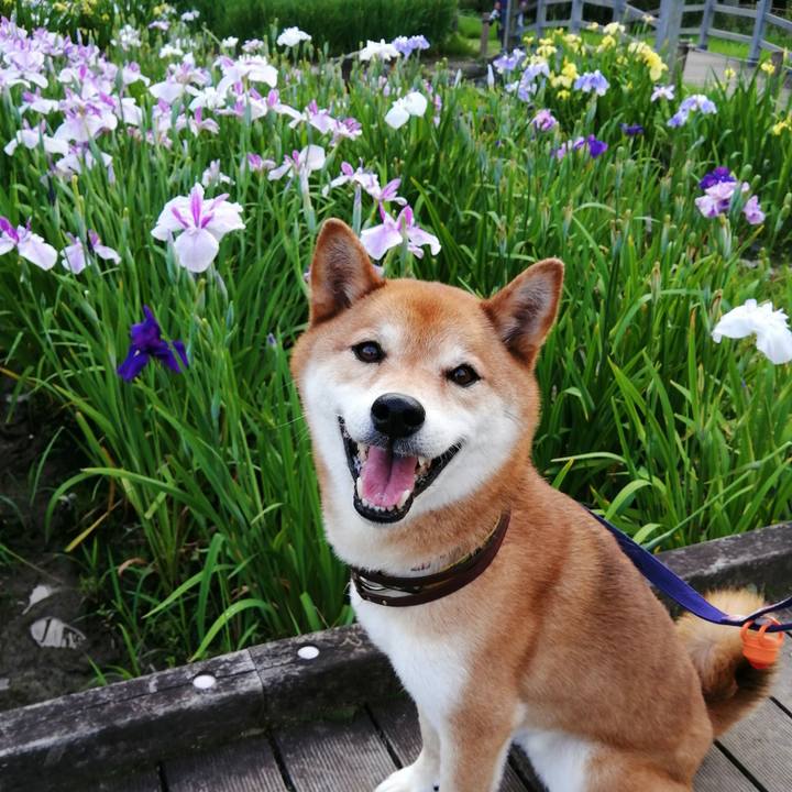 60c8ce37 0feb 4dc7 be9c ee9046dbf96b 1622975352111