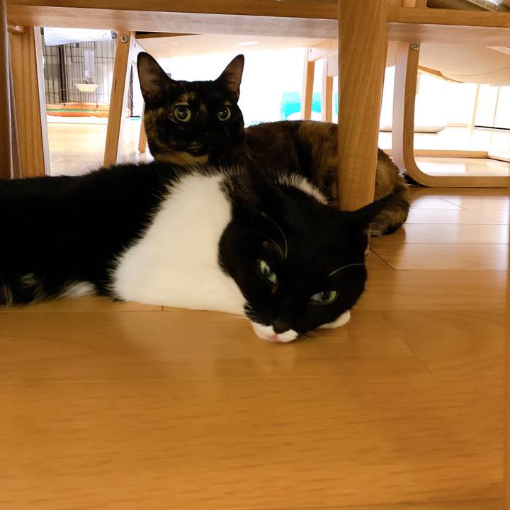 60c8e044 ff8c 4c8e 8c02 0d2ef1974265 1576327025409