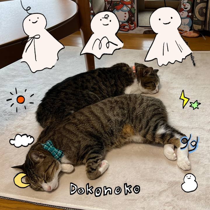 60c8e5bb 3b80 45ba 8852 b48c9ae32856 1749644166056