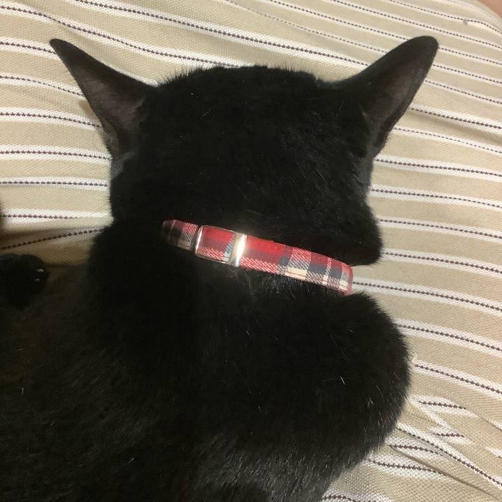 60c8edb9 d546 404e 84db 2ccb2b837f6f 1592838028666