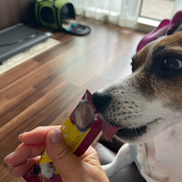 60c90927 0044 4930 9882 530f1640c4e5 1749807513857