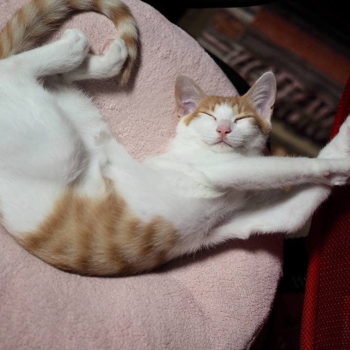 60c9108d e02f 494e a95f bff8bd7884f8 1539437382371