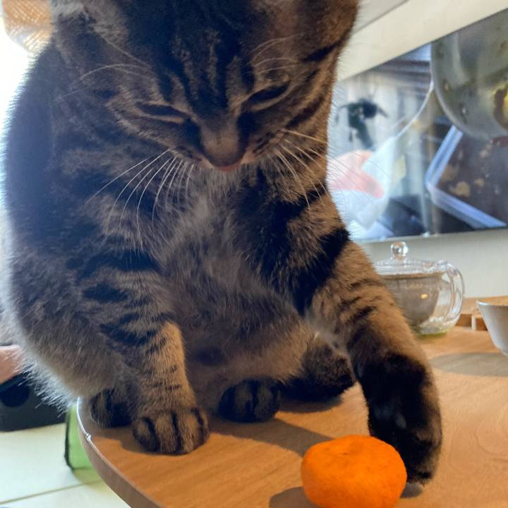 60c9c53a 644f 4af1 bf81 82bba3f40850 1612579042640