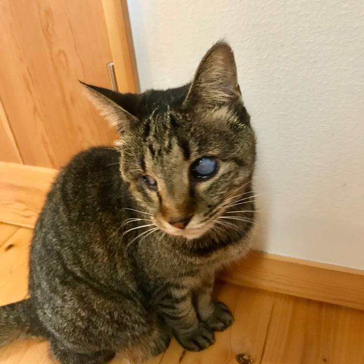 60c9d579 91de 42d1 a89a 06d129a7589e 1557533491056