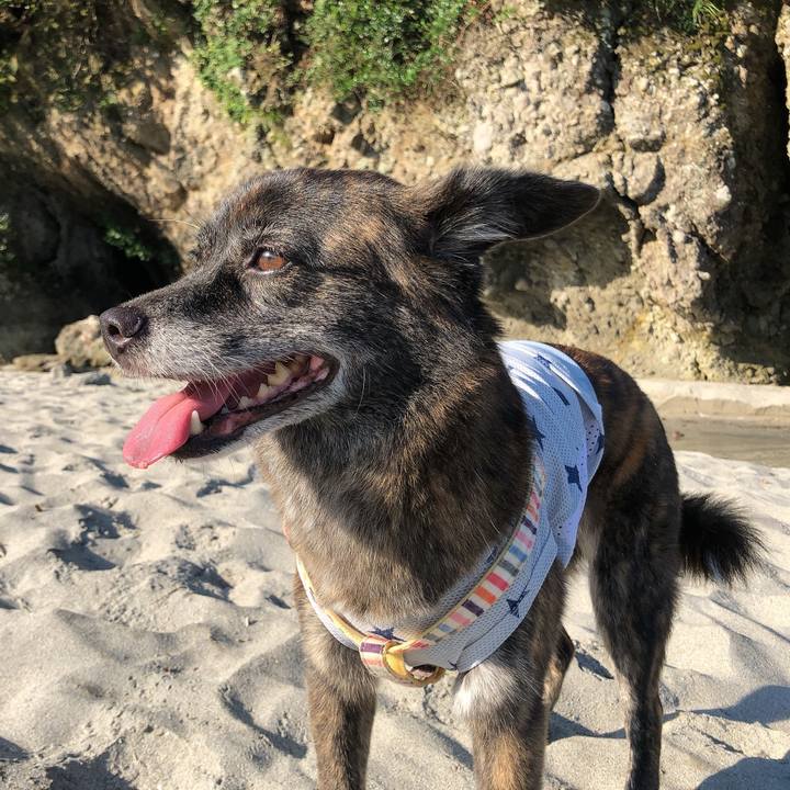 60ca0de6 f693 4a51 88fd 3b30da22f561 1597710853287