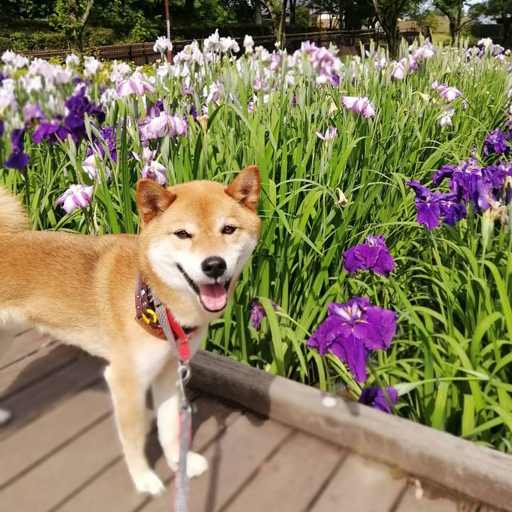 60ca13b8 ca28 4b7c 8d6a fdee288ec177 1592183131330