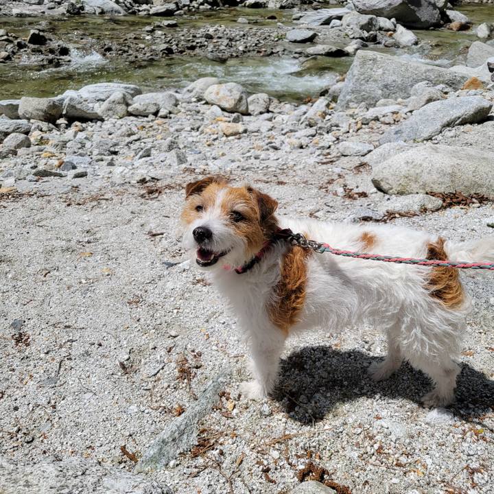 60ca7516 8ef2 41ad 8360 d4d99890255b 1683018149135