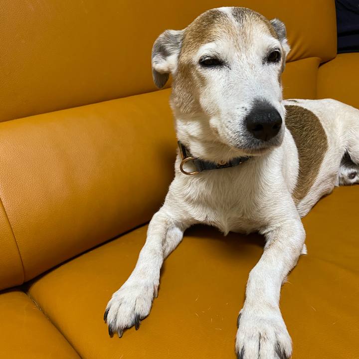 60cae1b5 5e5d 409b af74 303ec3ce3544 1619014627697