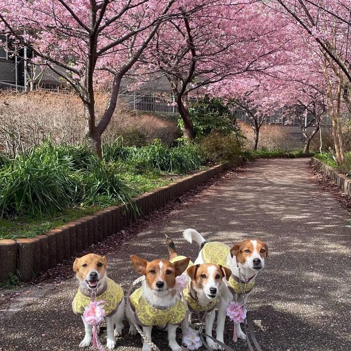 60cae1cd 3b29 4bb7 93b4 b4b44cb6ea18 1772177803387