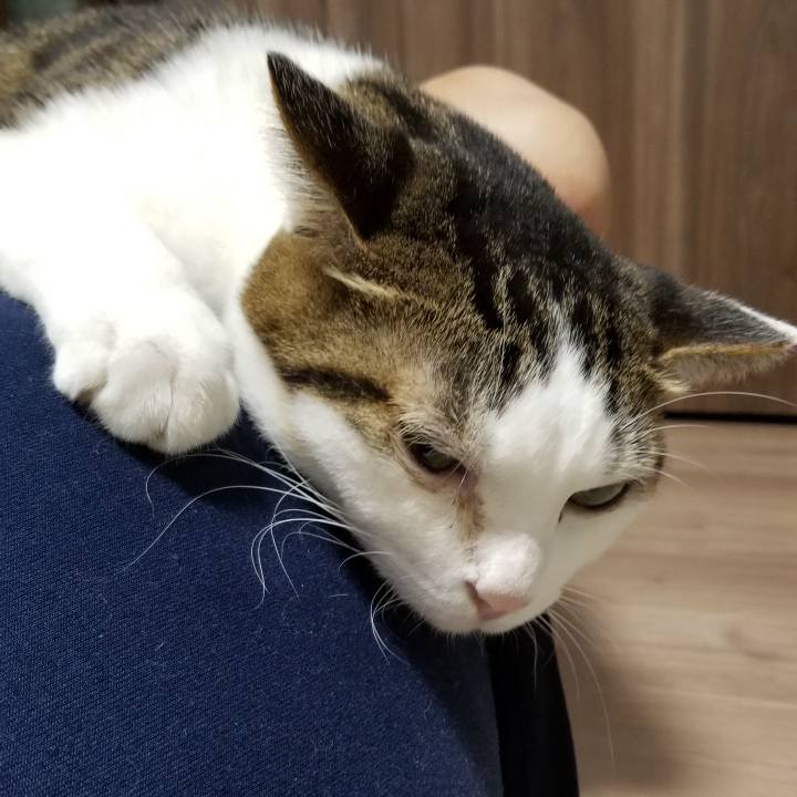 60caf76c 4fe5 4f7d a2b0 207124515dae 1571803114818