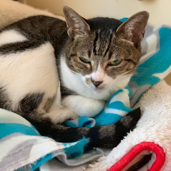 60cafc36 f356 44a4 bfe4 0b8aa679680c 1538356767590