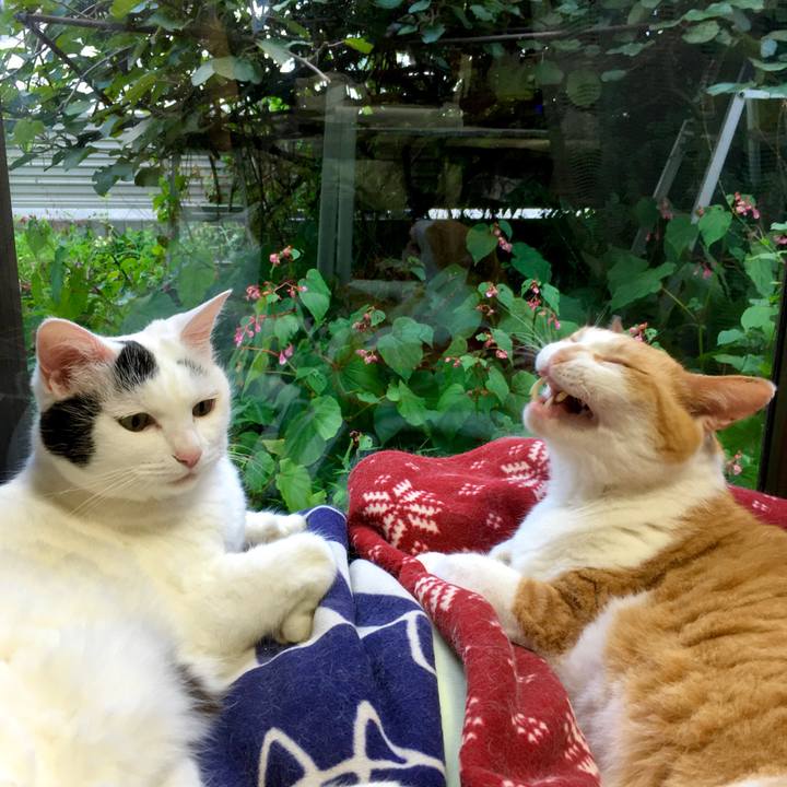 60cb2523 d712 401f 9f4a 417510d9ed9d 1599116056345