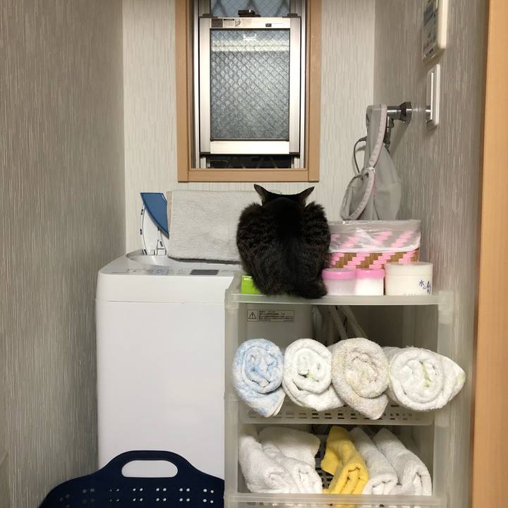 60cb5515 503d 4cb0 9bd7 91881184e50c 1529957027738