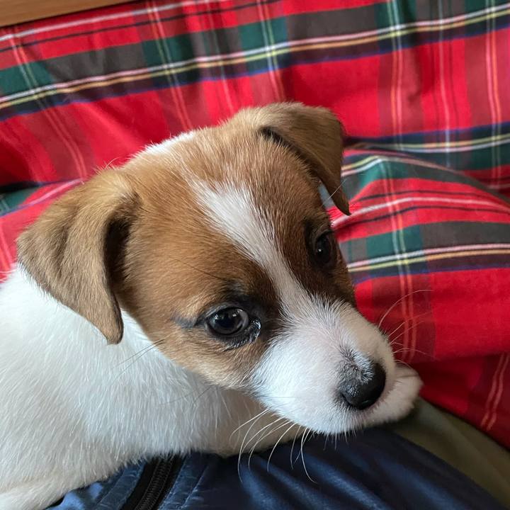 60cb62e6 cf22 4926 a41e 01abece0f268 1614816641446