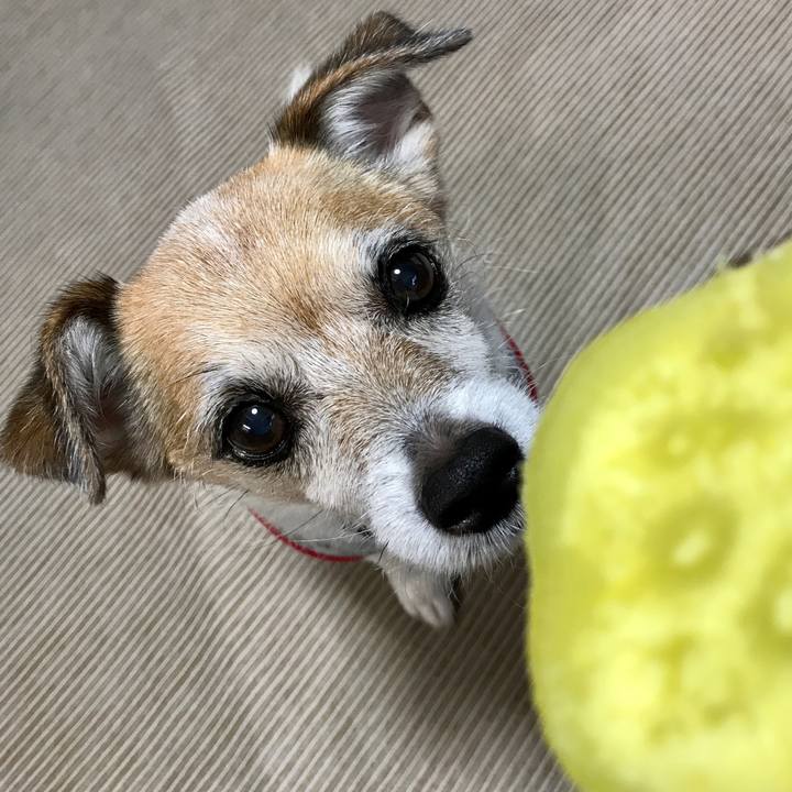 60cb7acd 485d 4349 ae12 cb4736b6a964 1634106305183