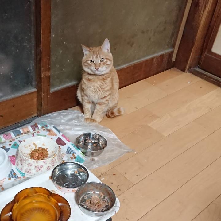 60cb95ca f52d 4afd 8de2 bb6daa0fa193 1637663551675