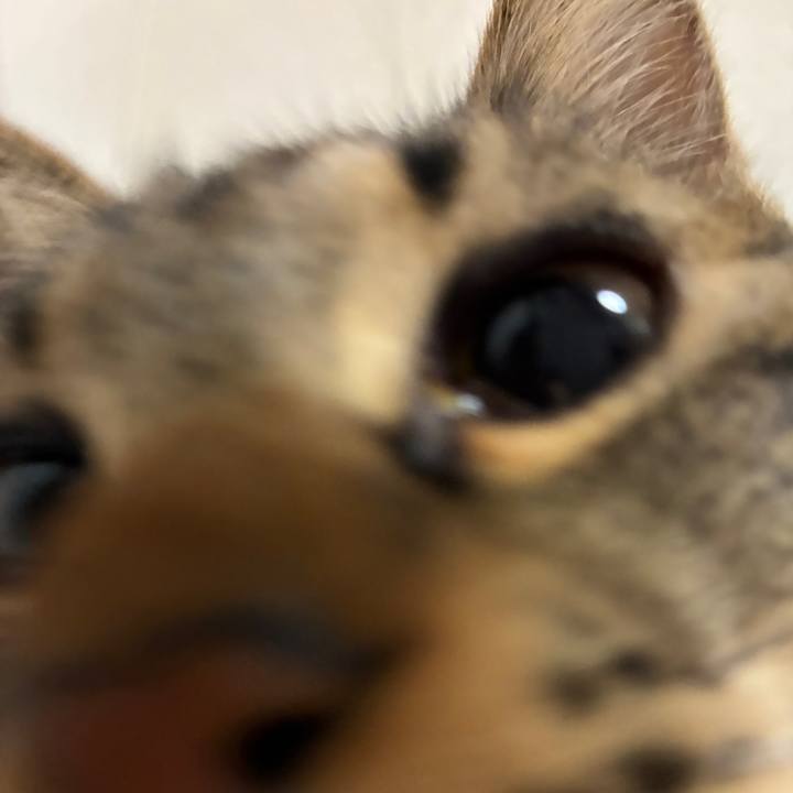 60cbb98f eef8 4811 824e 0660f205ab8d 1758625282246