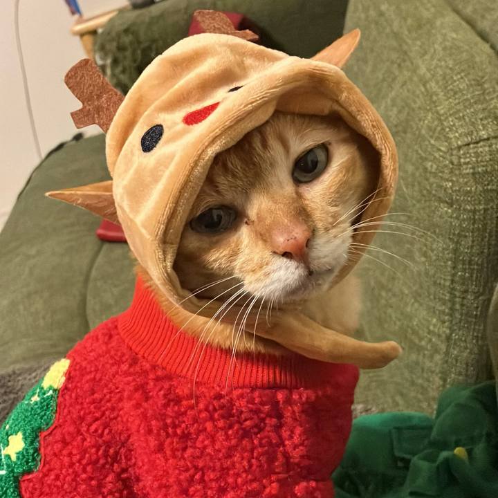 60cbcb80 1f68 4174 baa7 e74a4678fabd 1766400355907