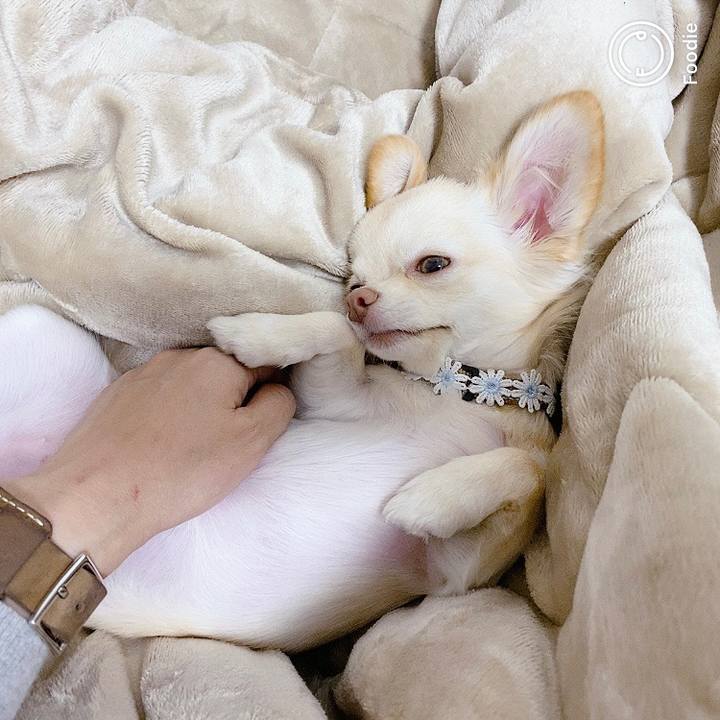 60cbce90 7f2d 4aae 8bba 31420a7c5227 1605339519516