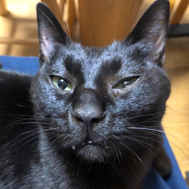 60cbcee7 0cc5 492f 86ff bb2280841f4c 1734639712111