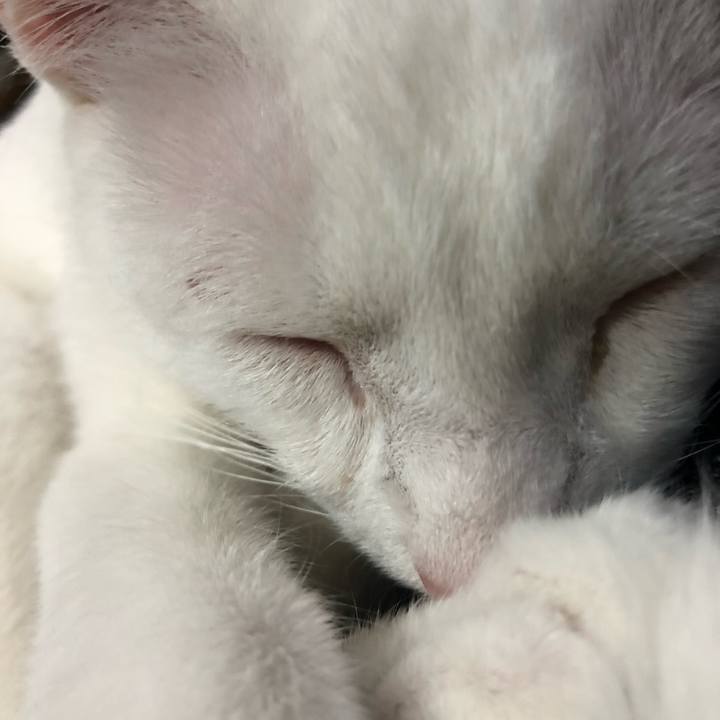 60cbd679 cef8 4ce8 92cd c4bb27f5bed3 1547895491078