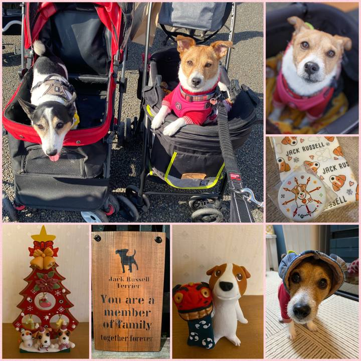 60cc4af0 16bd 45de 98e6 161317e2a5d0 1636975999486