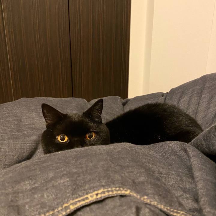 60cc5cb5 5387 4e2d 8c5a fddd204ee65d 1739192258402